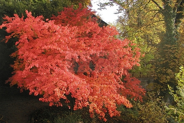 Hofheim Immobilien Kapellenberg